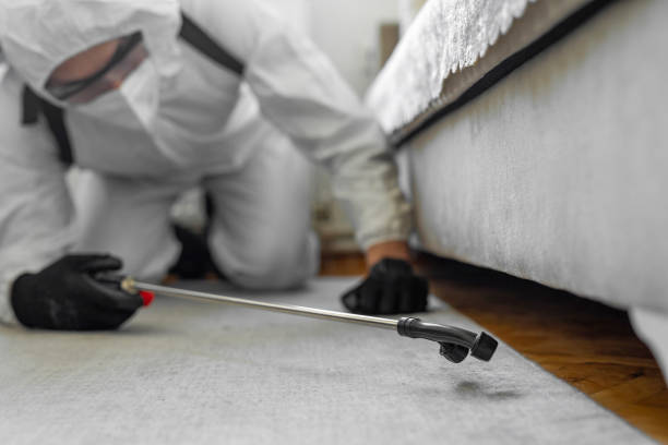 Professional Cockroach Control technician working in Olcott, NY